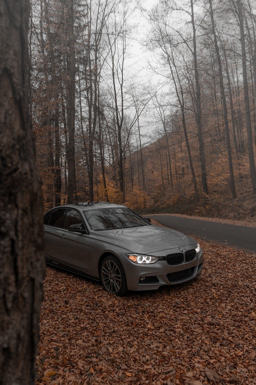 car, bmw, nature